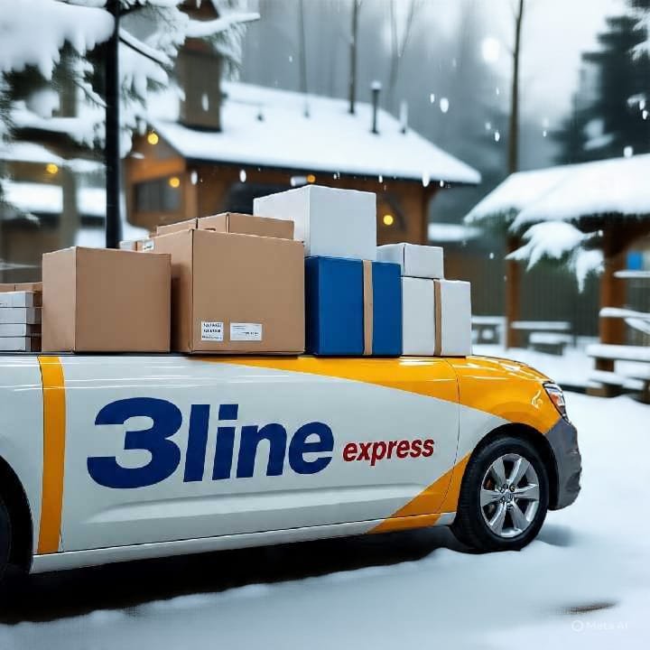 لماذا الشحن من مصر للسعودية مهم للتجار والأفراد؟ تشهد حركة التجارة بين مصر والسعودية نمواً كبيراً، سواء في شحن الملابس الجاهزة، المنتجات الغذائية، الأجهزة الكهربائية، الكتب الدراسية، أو الشحنات الشخصية. لذلك أصبح الاعتماد على شركة شحن موثوقة هو الضامن الأساسي لوصول الشحنة بسرعة وأمان وبتكلفة مناسبة. 3Line Express – خبرة في الشحن من مصر للسعودية توفّر شركة 3Line Express خدمات شحن متكاملة تشمل: